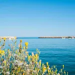 Vitismar Algarve *