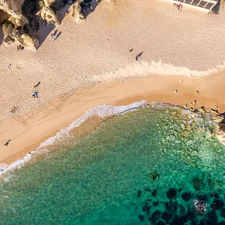 Vitismar Algarve Guia