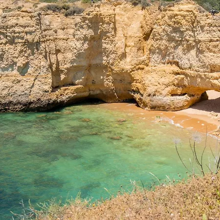 Vitismar Algarve Guia (Faro)