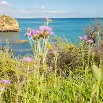 公寓 Vitismar Algarve 吉亚