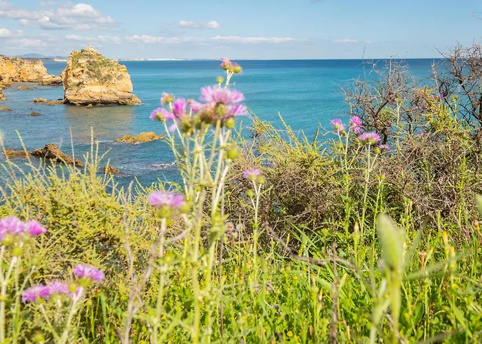 Apartment Vitismar Algarve Guia (Faro)