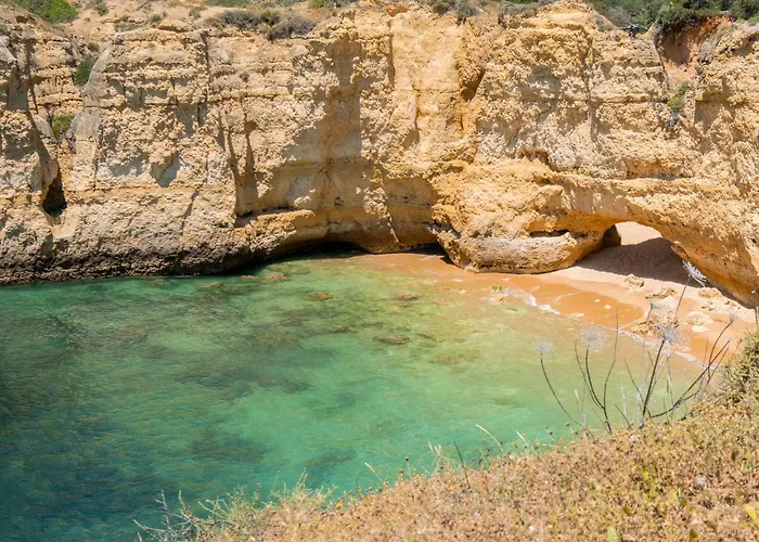 Vitismar Algarve Guia (Faro)