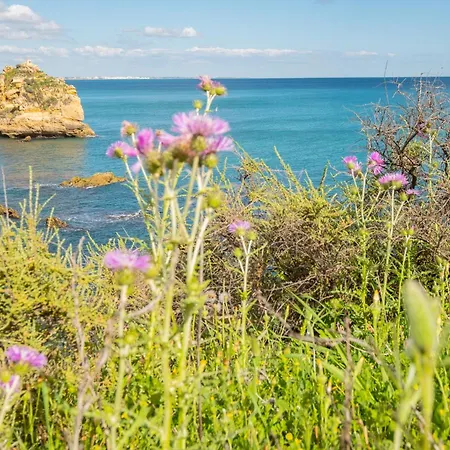 Appartement Vitismar Algarve Guia (Faro)